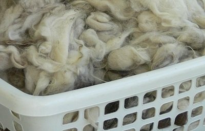 The Easiest Way to Clean Llama & Alpaca Fleece | Fibre Arts Bootcamp